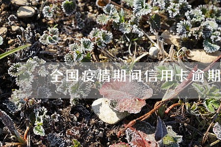 全国疫情期间信用卡逾期