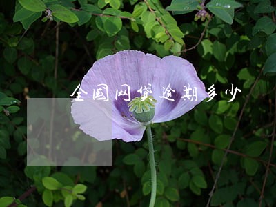 全国网贷逾期多少 全国网贷逾期多少