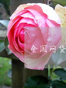 全国网贷逾期总人数 全国网贷逾期总人数