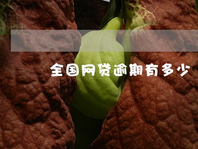 全国网贷逾期有多少