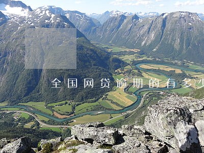 全国网贷逾期的有多少钱 全国网贷逾期的有多少钱