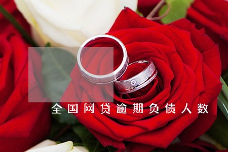 全国网贷逾期负债人数