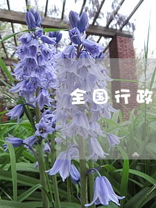 全国行政诉讼知名律师 全国行政诉讼知名律师