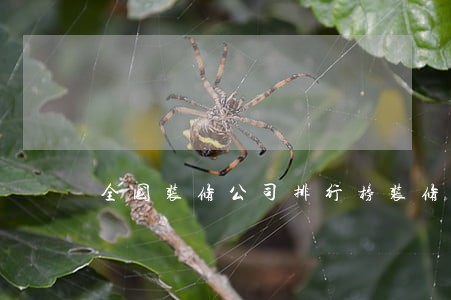 全国装修公司排行榜装修公司排名 全国装修公司排行榜装修公司排名