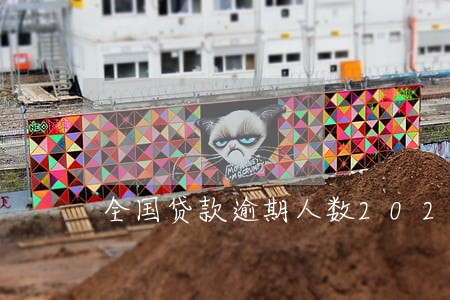 全国贷款逾期人数2020 全国贷款逾期人数2020
