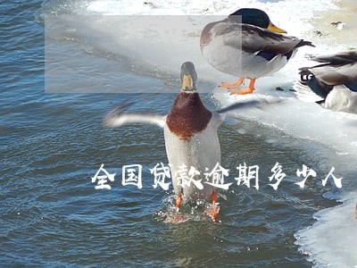 全国贷款逾期多少人 全国贷款逾期多少人