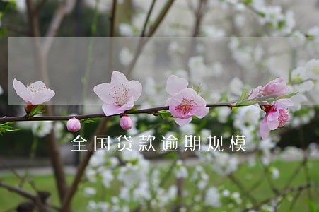 全国贷款逾期规模 全国贷款逾期规模