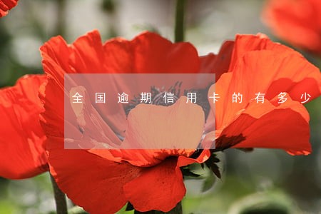 全国逾期信用卡的有多少人 全国逾期信用卡的有多少人