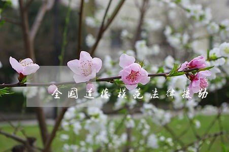 全国道德模范法律援助 全国道德模范法律援助