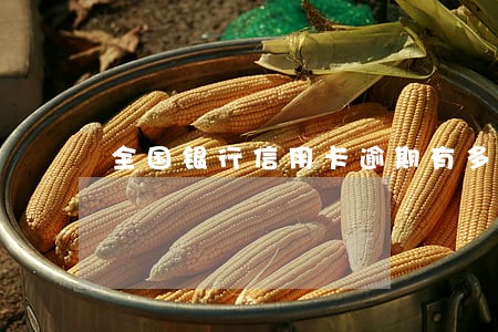 全国银行信用卡逾期有多少 全国银行信用卡逾期有多少