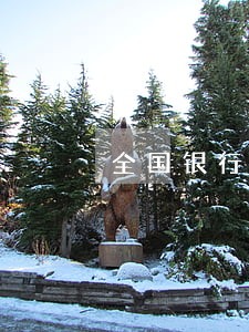 全国银行逾期人数2020 全国银行逾期人数2020