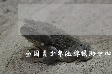全国青少年法律援助中心 全国青少年法律援助中心