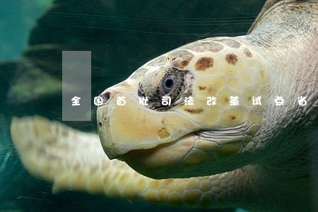 全国首批司法改革试点省份有 全国首批司法改革试点省份有