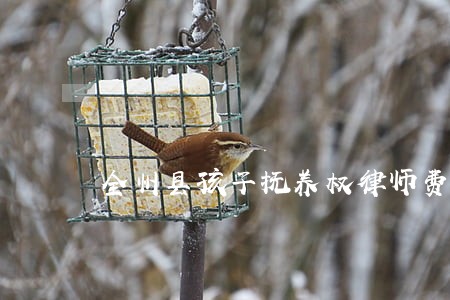 全州县孩子抚养权律师费用咨询 全州县孩子抚养权律师费用咨询