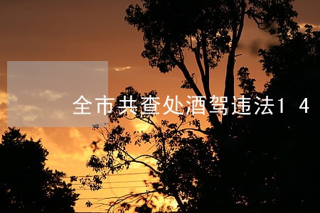 全市共查处酒驾违法1435起 全市共查处酒驾违法1435起