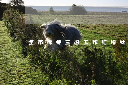 全市律师三进工作汇报材料