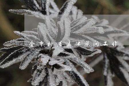 全市村居法律顾问工作 全市村居法律顾问工作