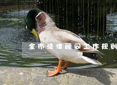 全市法律顾问工作规则 全市法律顾问工作规则