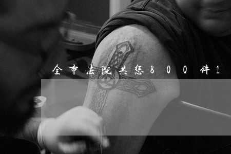全市法院共惩800件1509人