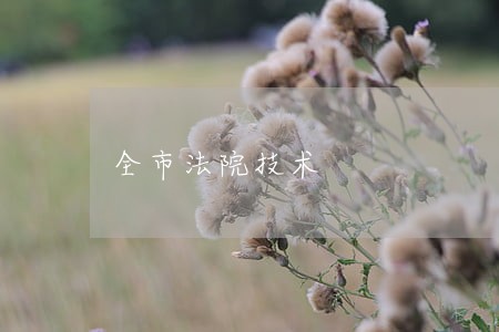 全市法院技术