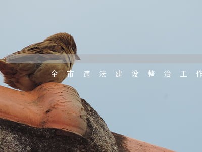 全市违法建设整治工作推进会召开 全市违法建设整治工作推进会召开