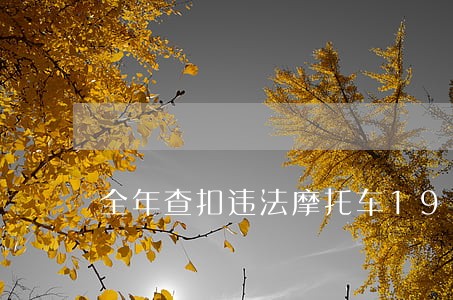 全年查扣违法摩托车1956辆 全年查扣违法摩托车1956辆