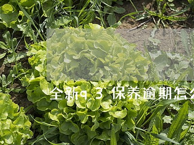 全新q3保养逾期怎么解除 全新q3保养逾期怎么解除