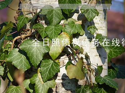 全日照债权债务在线律师免费咨询 全日照债权债务在线律师免费咨询