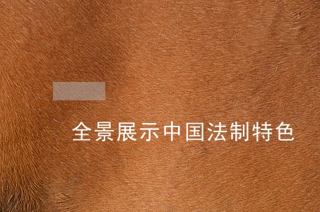 全景展示中国法制特色 全景展示中国法制特色