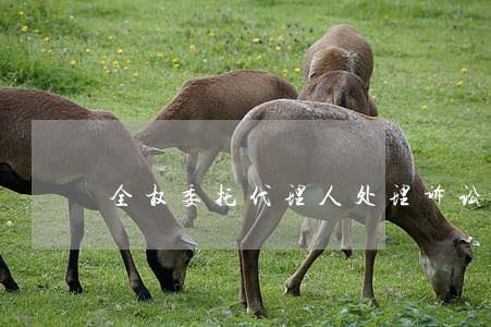 全权委托代理人处理诉讼相关事宜 全权委托代理人处理诉讼相关事宜