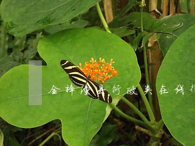全梓潼县行政类在线律师免费咨询 全梓潼县行政类在线律师免费咨询