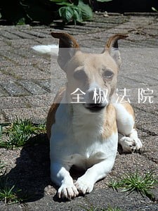 全椒法院史警官 全椒法院史警官