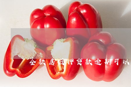 全款房抵押贷款逾期可以贷吗 全款房抵押贷款逾期可以贷吗