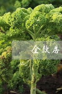 全款房贷款与逾期有关系吗 全款房贷款与逾期有关系吗