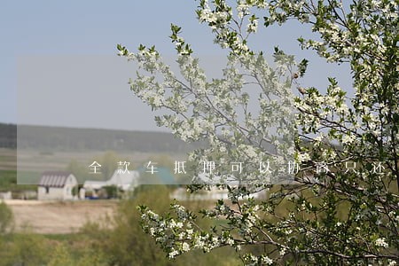 全款车抵押可以协商只还本金吗 全款车抵押可以协商只还本金吗