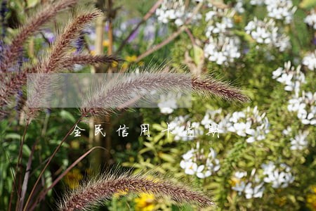全民信用卡逾期 全民信用卡逾期