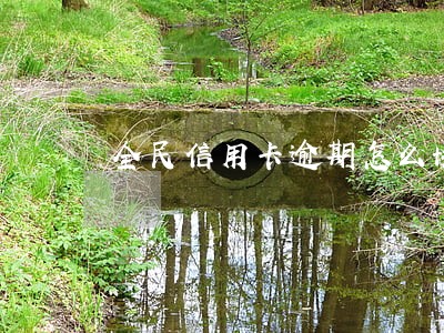 全民信用卡逾期怎么协商 全民信用卡逾期怎么协商