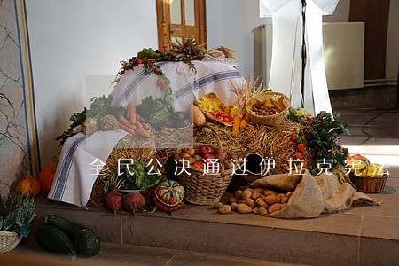 全民公决通过伊拉克宪法草案 全民公决通过伊拉克宪法草案