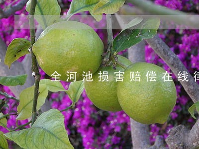 全河池损害赔偿在线律师免费咨询 全河池损害赔偿在线律师免费咨询