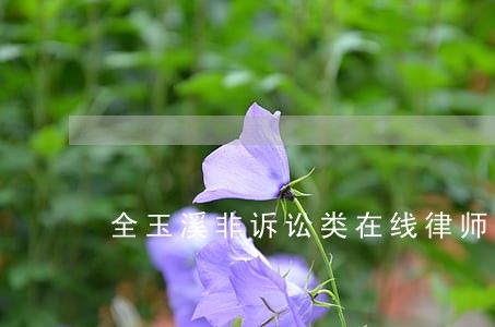 全玉溪非诉讼类在线律师免费咨询 全玉溪非诉讼类在线律师免费咨询