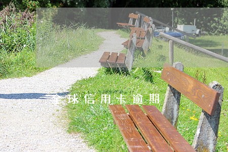 全球信用卡逾期 全球信用卡逾期