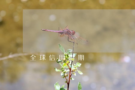 全球信用逾期 全球信用逾期