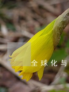全球化与中国法制的回应 全球化与中国法制的回应