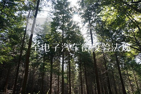 全电子汽车衡校验法规 全电子汽车衡校验法规
