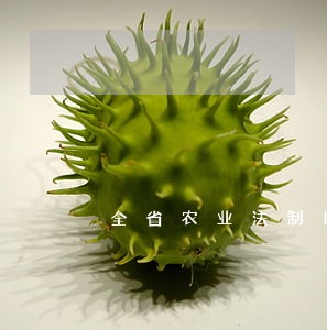全省农业法制培训班在信阳举办 全省农业法制培训班在信阳举办