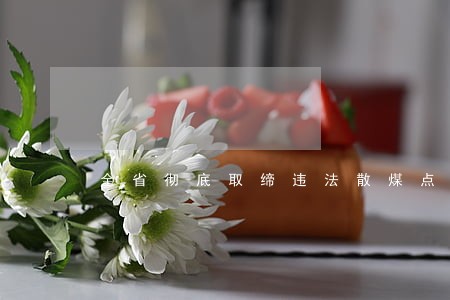 全省彻底取缔违法散煤点 全省彻底取缔违法散煤点