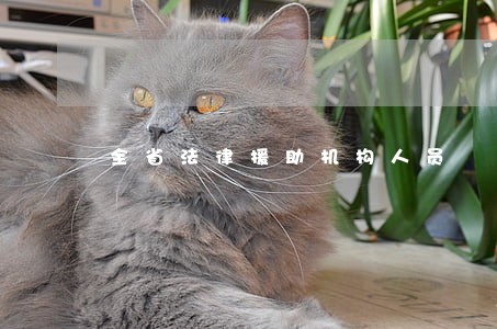 全省法律援助机构人员 全省法律援助机构人员