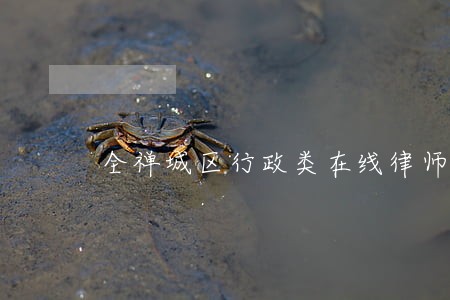 全禅城区行政类在线律师免费咨询 全禅城区行政类在线律师免费咨询