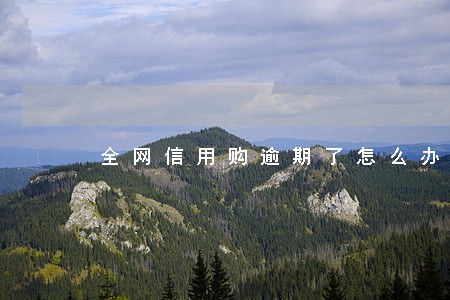 全网信用购逾期了怎么办 全网信用购逾期了怎么办