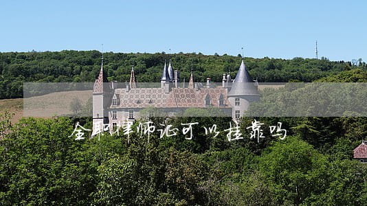 全职律师证可以挂靠吗 全职律师证可以挂靠吗